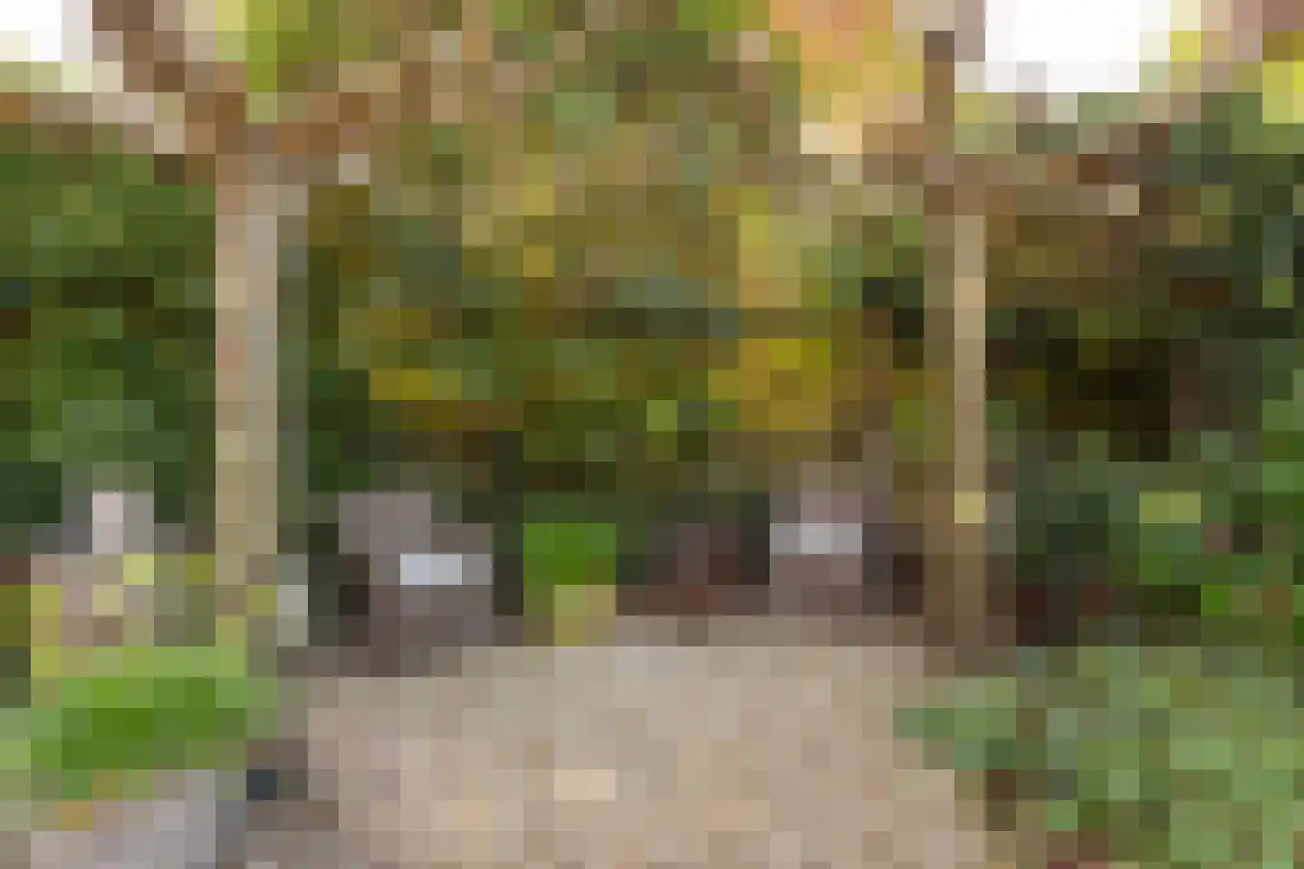 Mazijk 5 Wijk bij Duurstede thumbnail 8