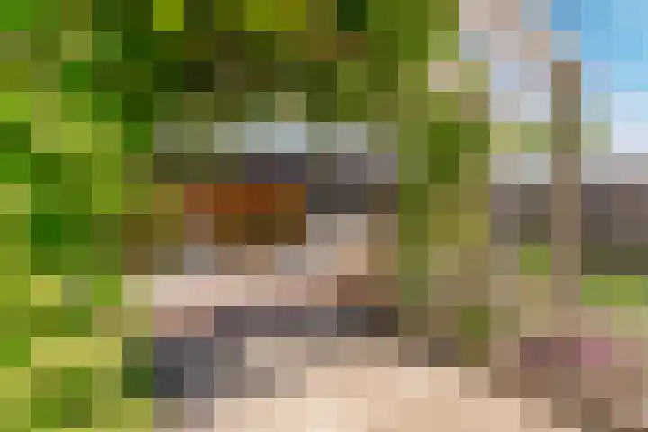 Meander 22 Rosmalen thumbnail 34