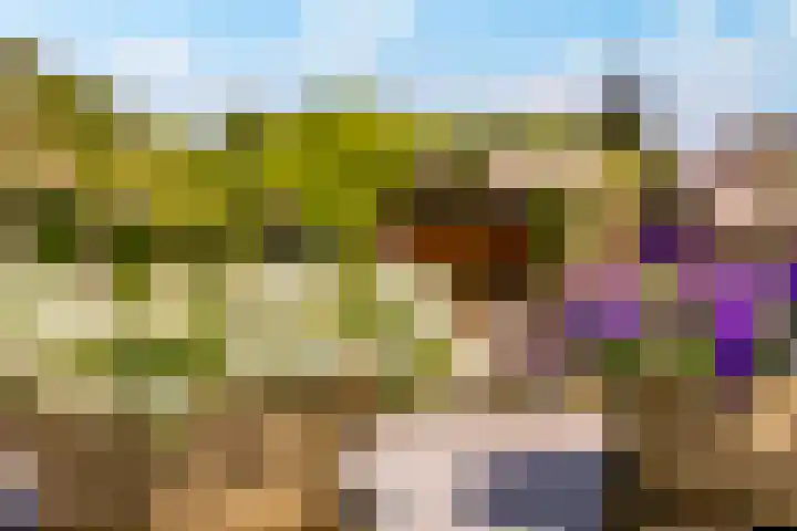 Meander 22 Rosmalen thumbnail 36