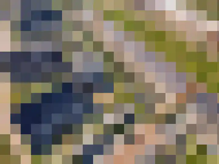 Meander 22 Rosmalen thumbnail 65