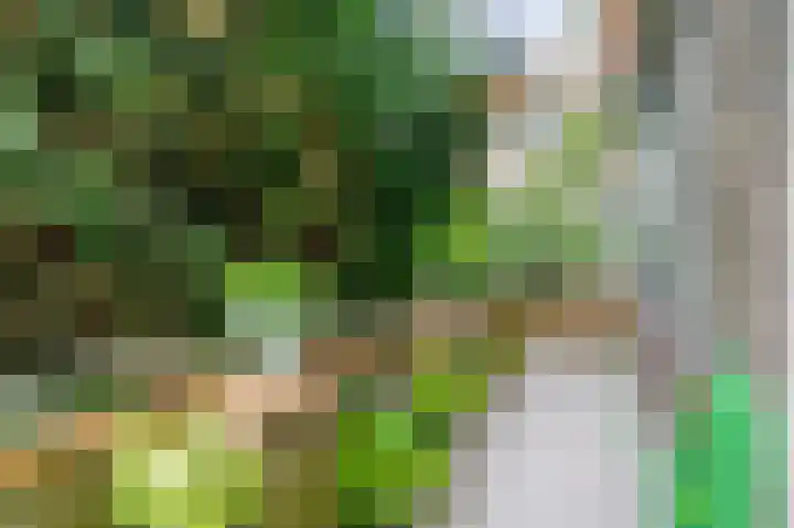 Meander 291 Amstelveen thumbnail 10