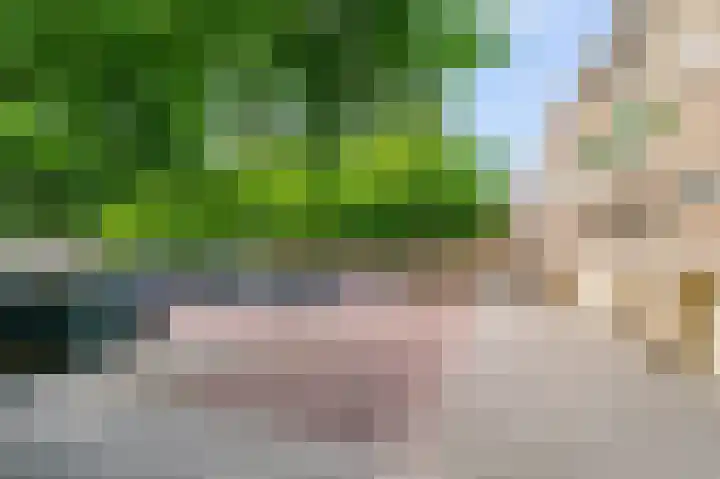 Meander 291 Amstelveen thumbnail 30