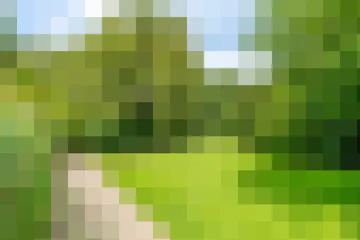 Meander 291 Amstelveen thumbnail 35