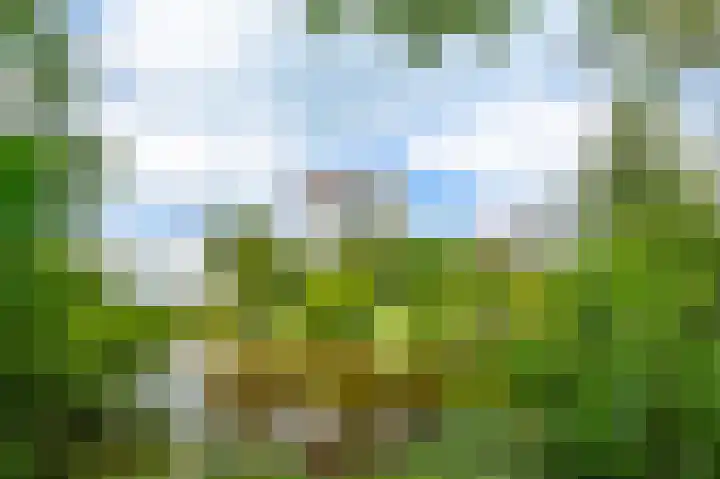 Meander 291 Amstelveen thumbnail 37