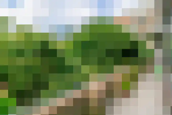 Meander 291 Amstelveen thumbnail 4