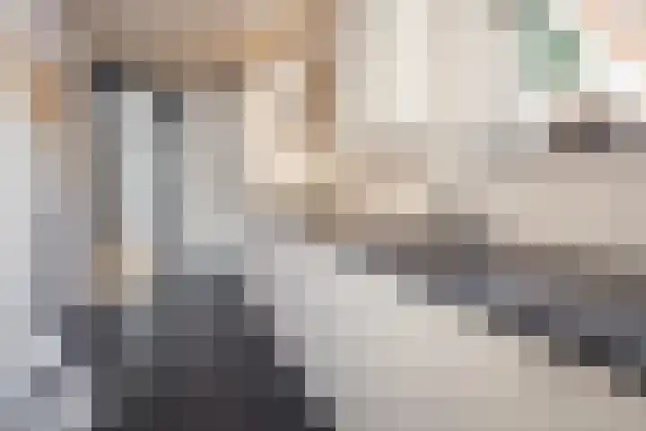 Meander 38 Andijk thumbnail 16