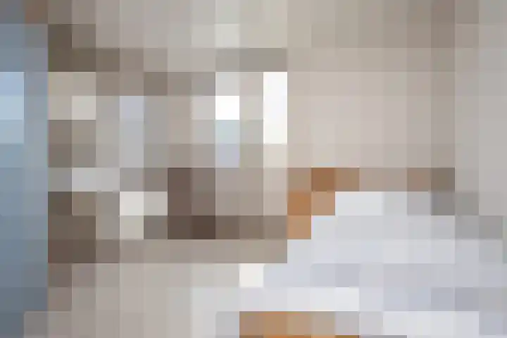 Meander 38 Andijk thumbnail 25