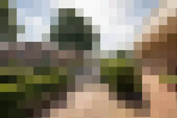 Meander 38 Andijk thumbnail 36