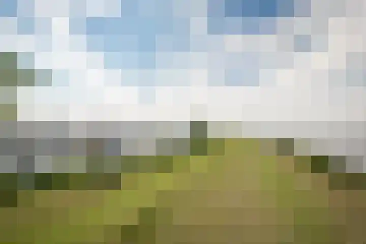 Meander 38 Andijk thumbnail 40