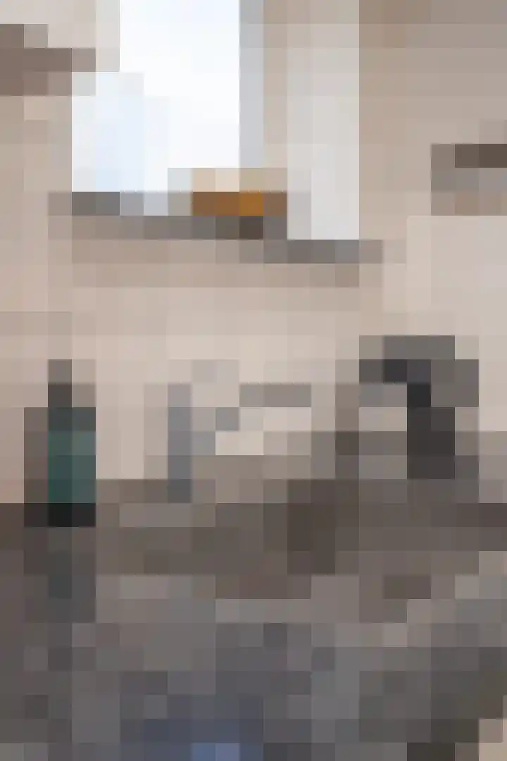 Meander 38 Andijk thumbnail 46