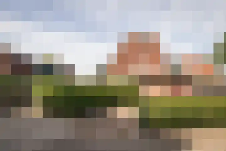 Meander 38 Andijk thumbnail 5
