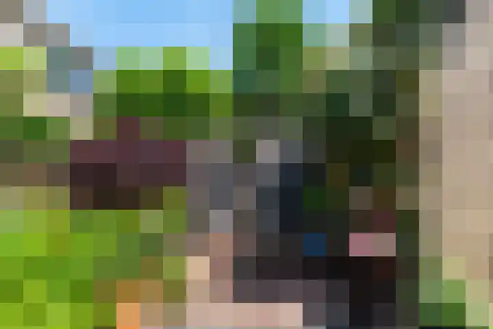 Meander 38 Andijk thumbnail 52