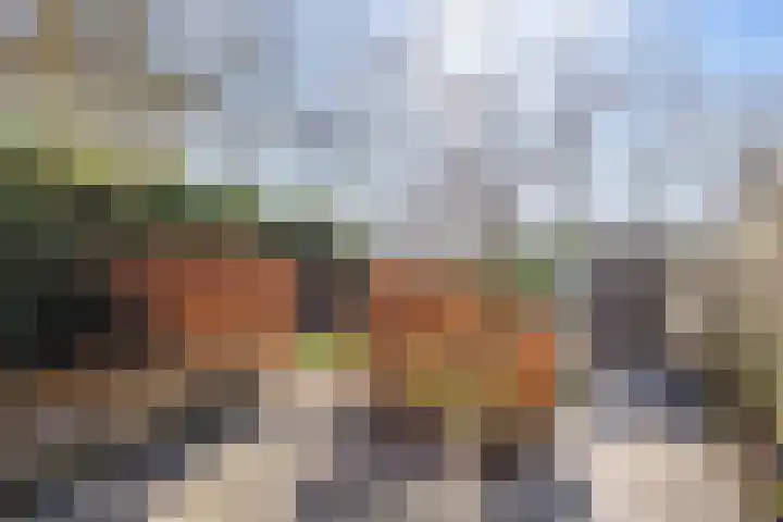 Meander 48 Winsum thumbnail 27