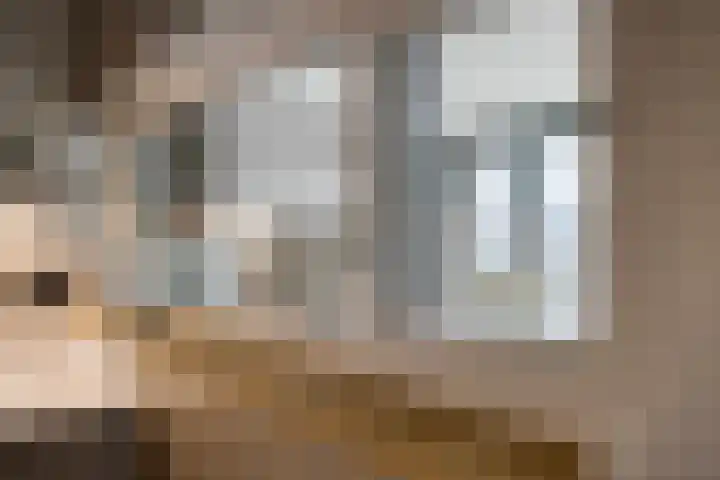 Meander 5 Swalmen thumbnail 23