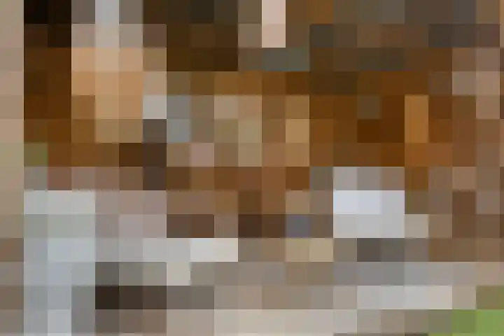 Meander 5 Swalmen thumbnail 44