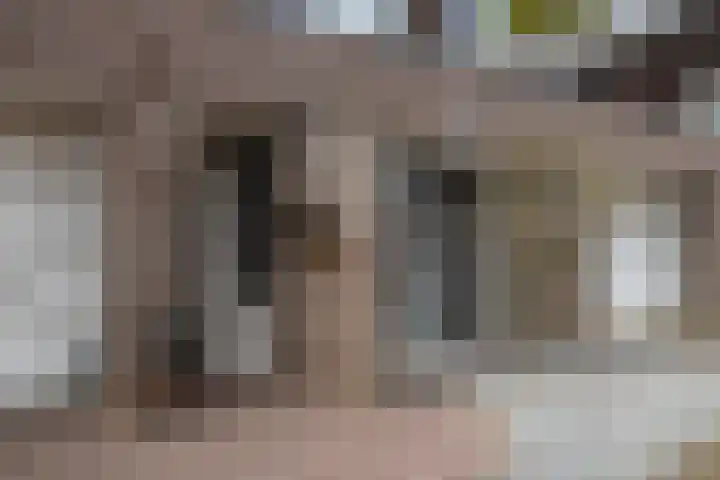 Meander 5 Swalmen thumbnail 5