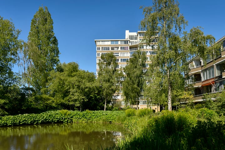 Meander 795 in Amstelveen foto
