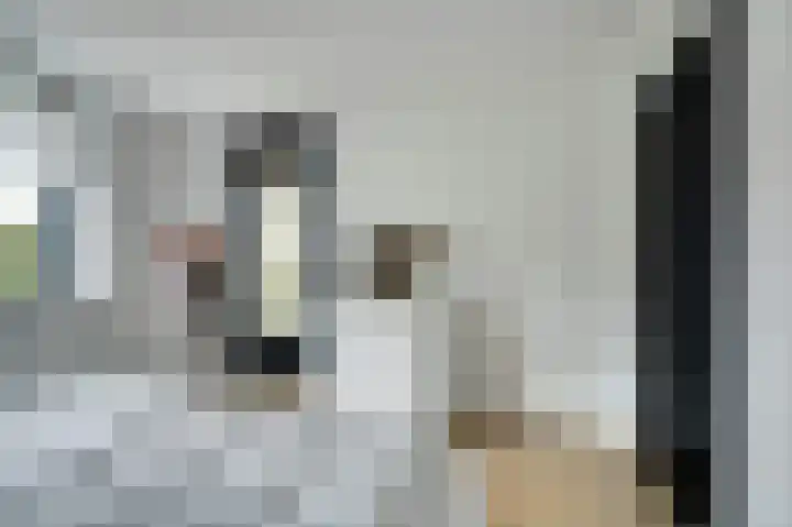 Meanderlaan 122 Tholen thumbnail 20