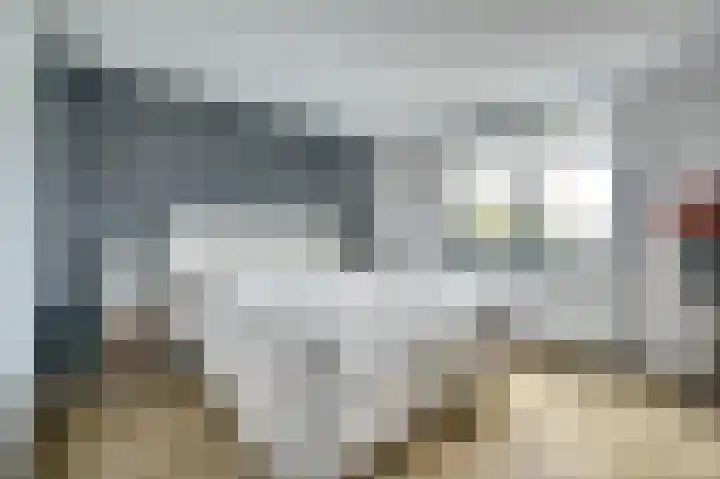Meanderlaan 122 Tholen thumbnail 21
