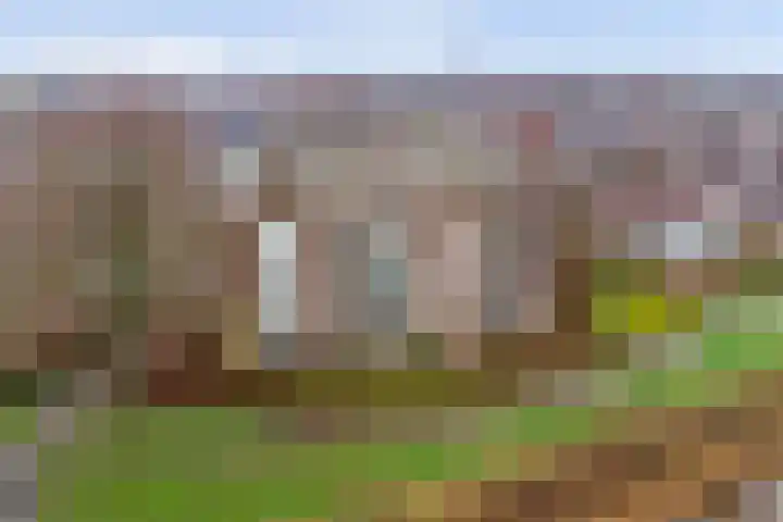 Meanderlaan 122 Tholen thumbnail 37