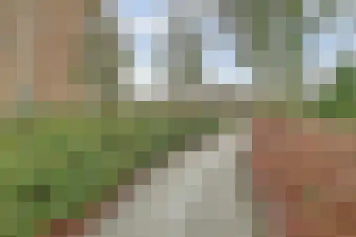 Meanderlaan 122 Tholen thumbnail 39