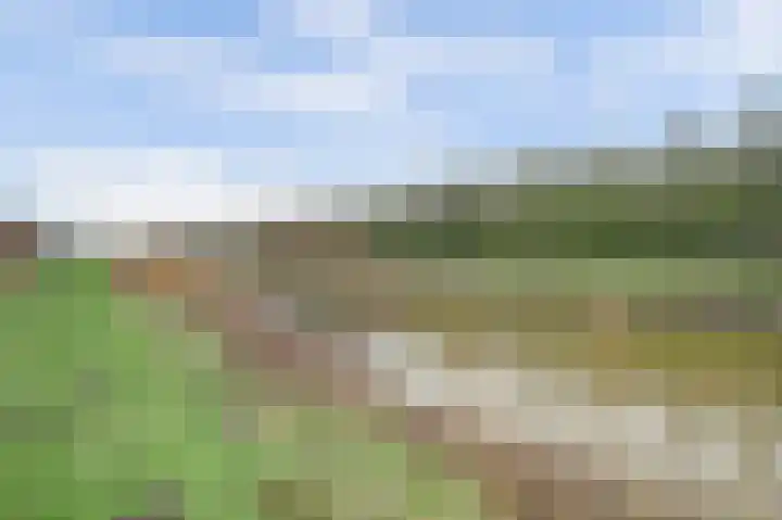Meanderlaan 122 Tholen thumbnail 42