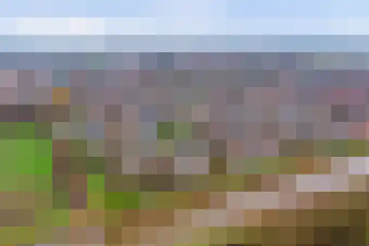 Meanderlaan 122 Tholen thumbnail 44
