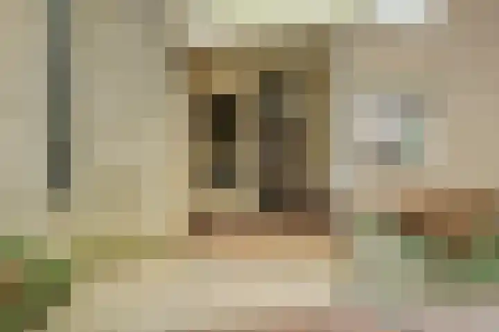 Meanderlaan 122 Tholen thumbnail 6