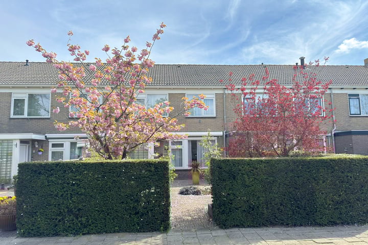 Mecklenburglaan 6 in Goes foto