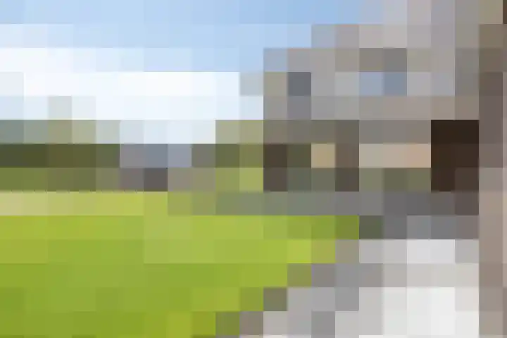 Medaille 19 Oss foto 2