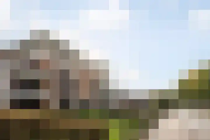 Medaille 19 Oss thumbnail 23