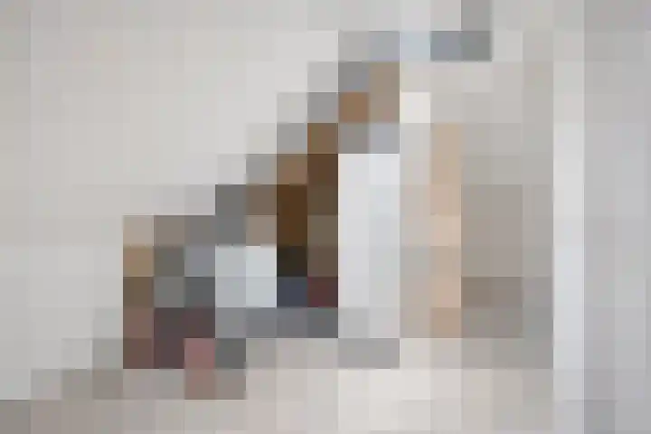 Medaille 19 Oss thumbnail 27