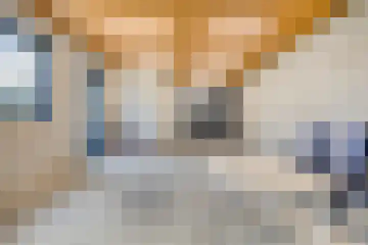 Medaille 19 Oss thumbnail 29