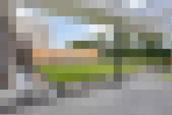 Medaille 19 Oss thumbnail 31