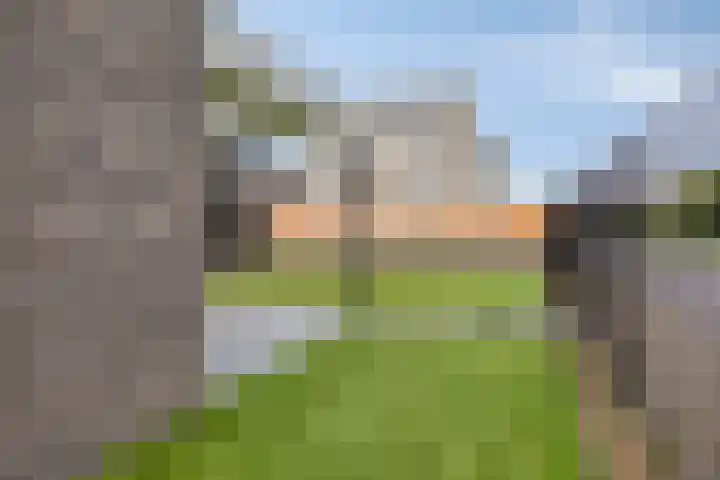 Medaille 19 Oss thumbnail 32