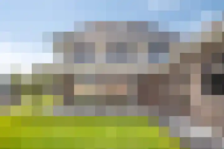 Medaille 19 Oss thumbnail 34