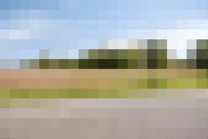 Medaille 19 Oss thumbnail 36