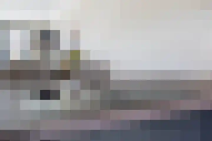 Medaillon 1 Arnhem thumbnail 16