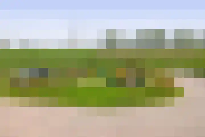 Medaillon 1 Arnhem thumbnail 47