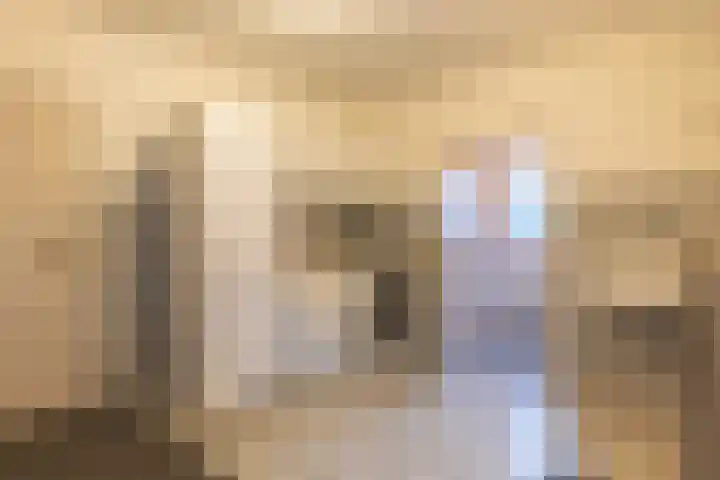 Meddoseweg 1 Groenlo thumbnail 11