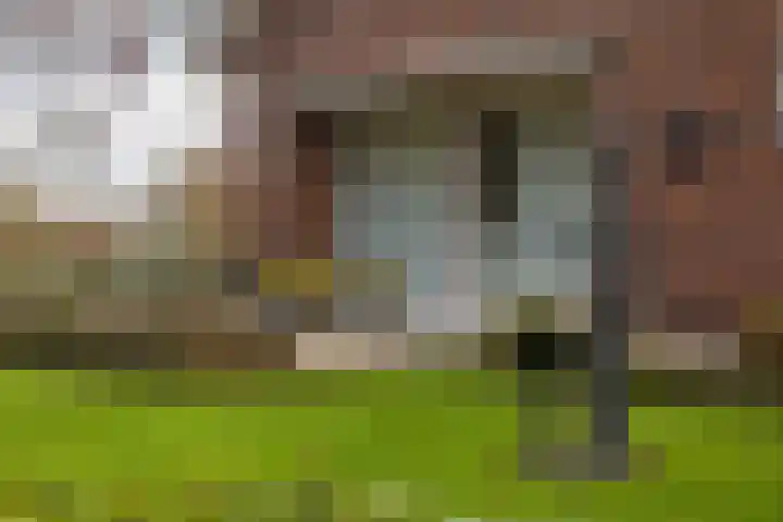 Meddoseweg 1 Groenlo thumbnail 26