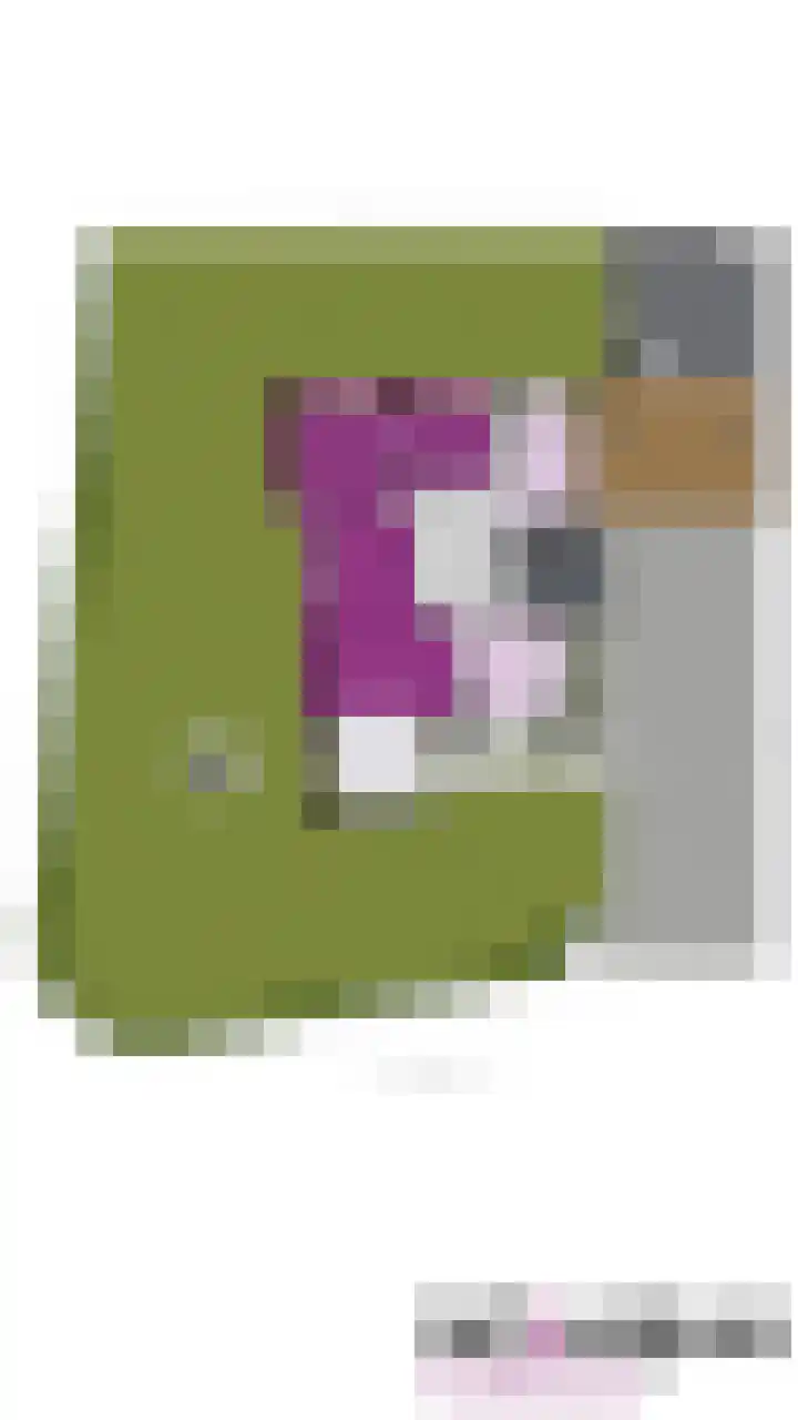 Meddoseweg 1 Groenlo thumbnail 32