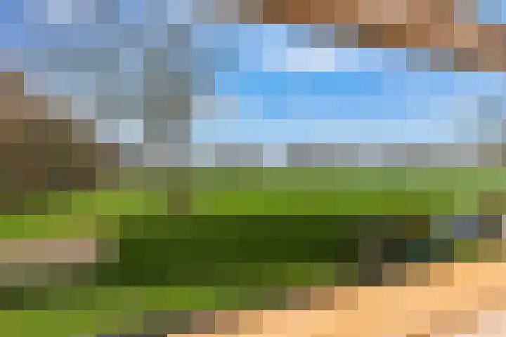 Meddoseweg 1 Groenlo thumbnail 6