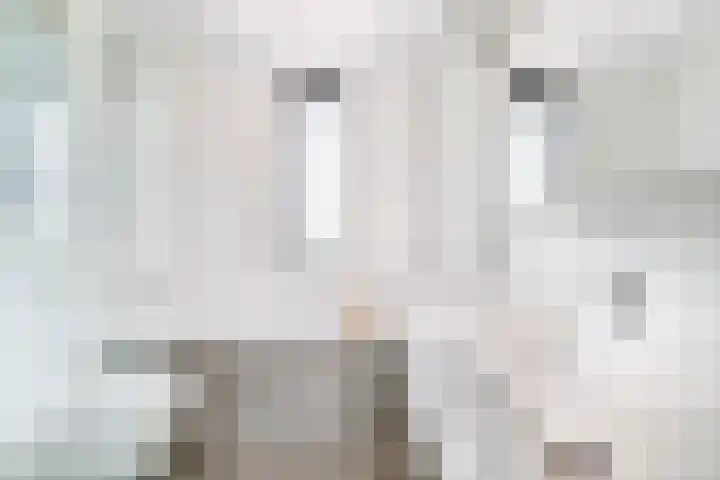 Medeastraat 39 Arnhem thumbnail 28