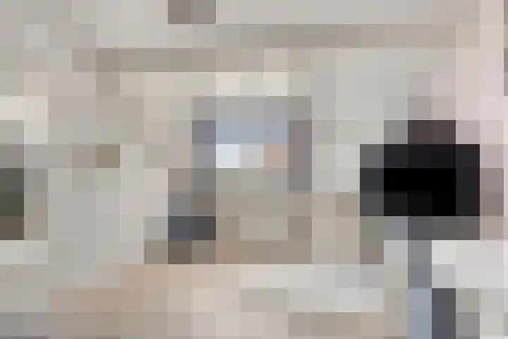 Médoclaan 46 Eindhoven thumbnail 31
