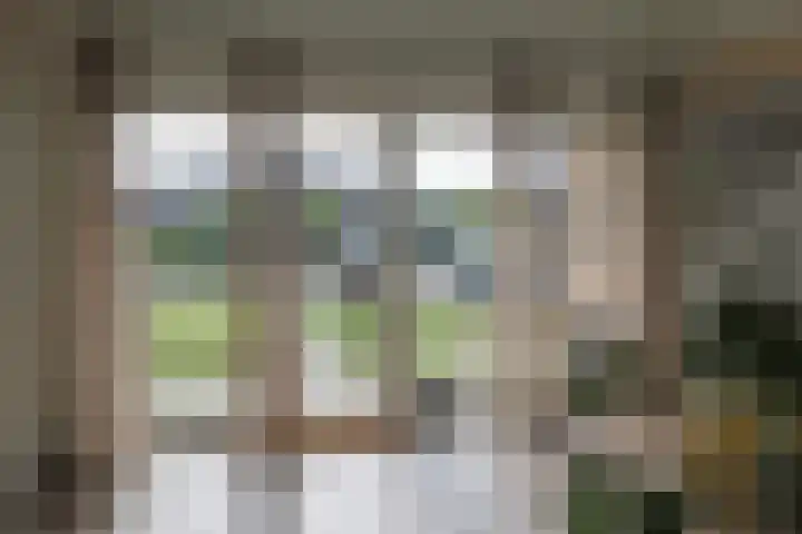Medwert 2 Dokkum thumbnail 12