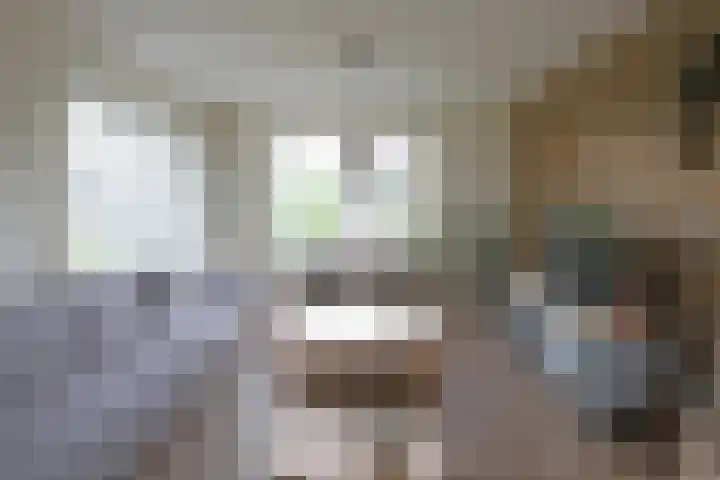 Medwert 2 Dokkum thumbnail 17