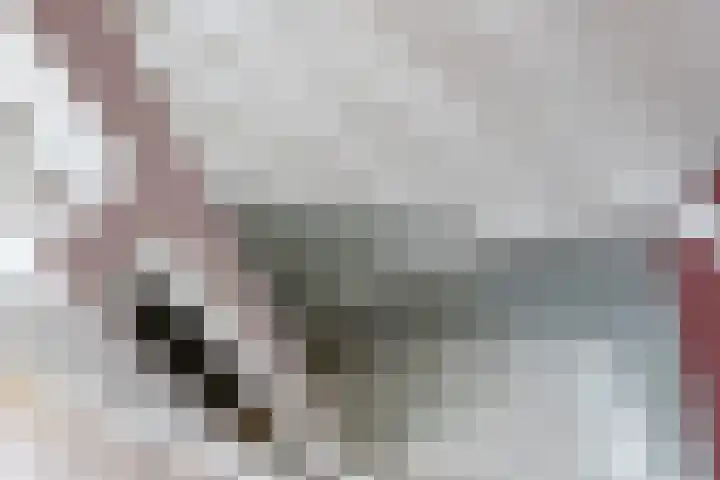 Medwert 2 Dokkum thumbnail 41