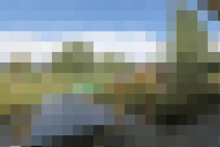 Medwert 2 Dokkum thumbnail 49