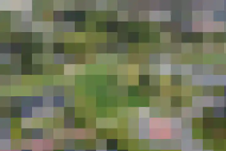 Medwert 2 Dokkum thumbnail 5